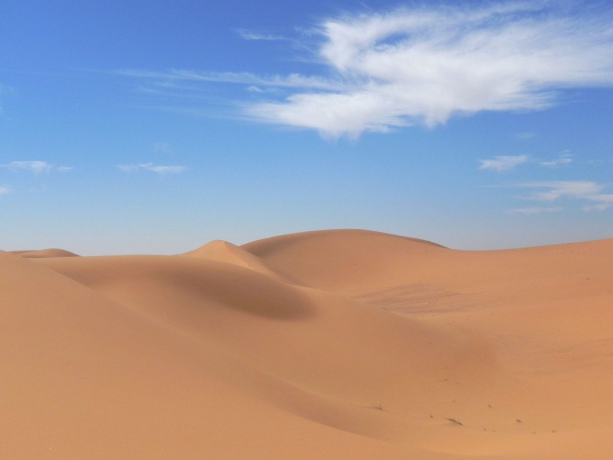 Desert 1